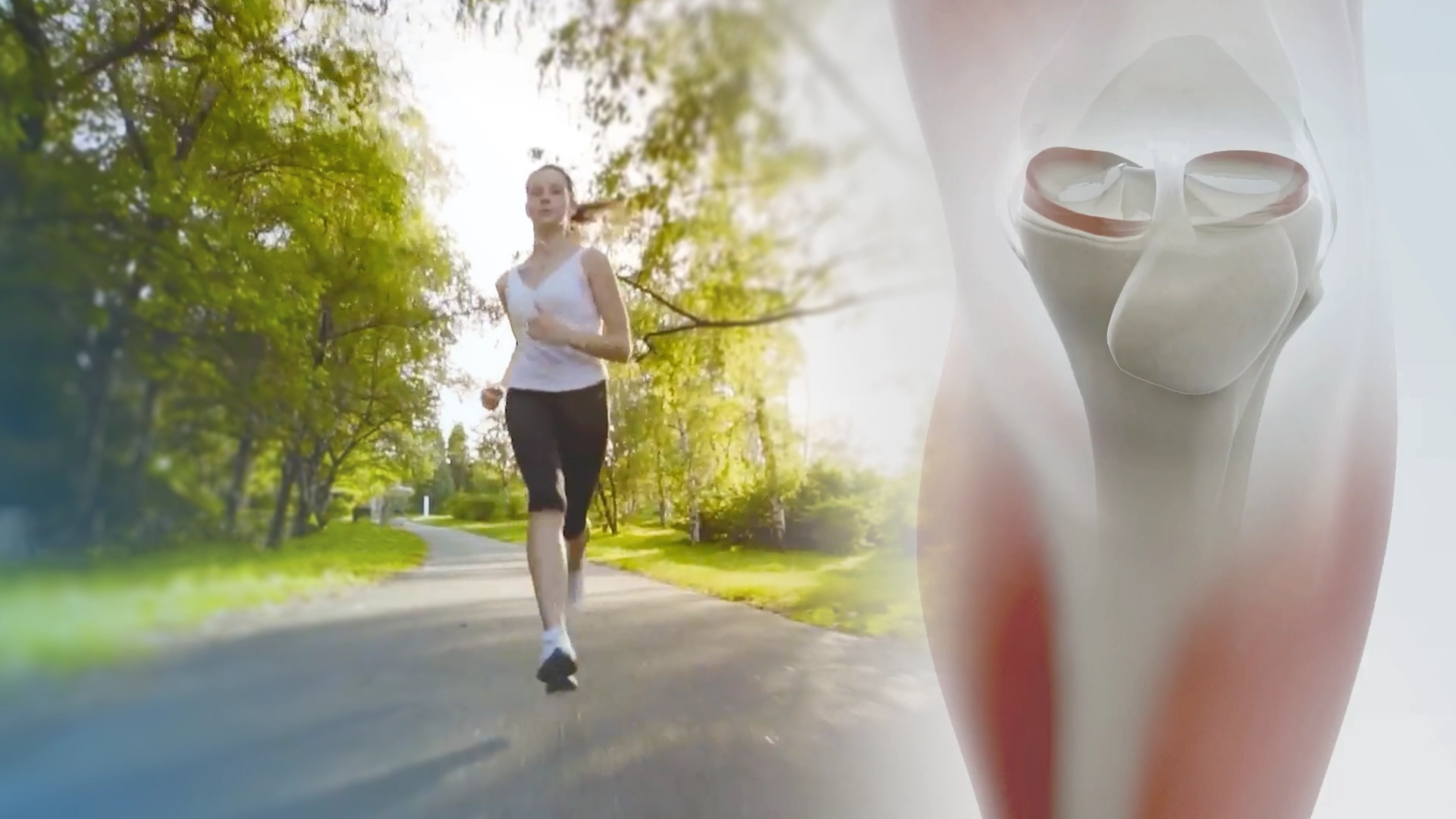 Actifit