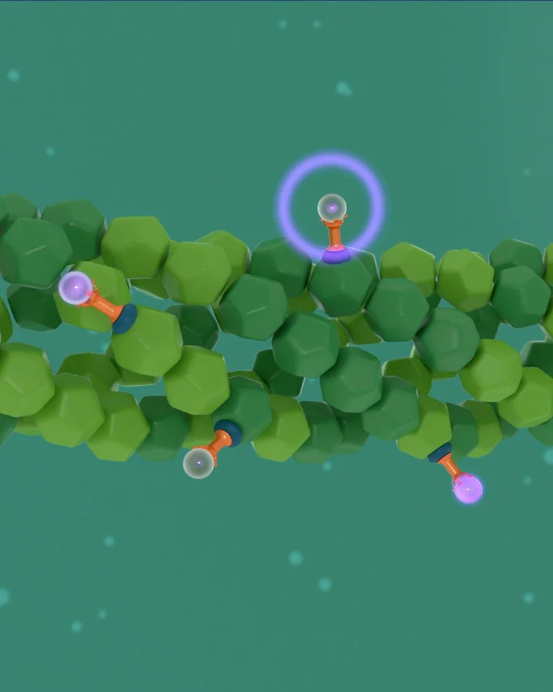 Medical animation at cell level: molecules with highlighted binding sites