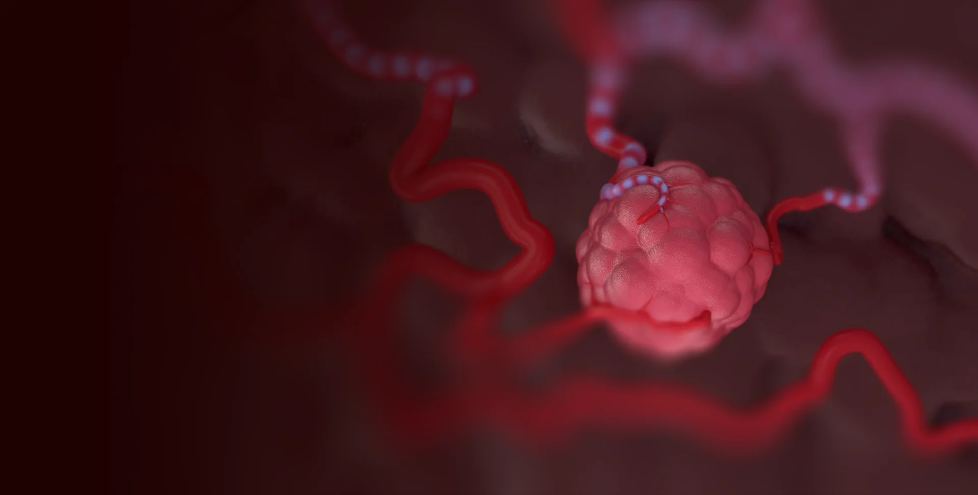 Medical 3D animation of a cell between blood vessels in close-up