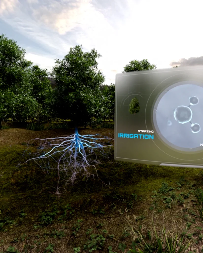 Avocadoboomgaard in VR met zichtbare wortels en een scherm over irrigatie, uit de VR-experience voor Westfalia Fruit