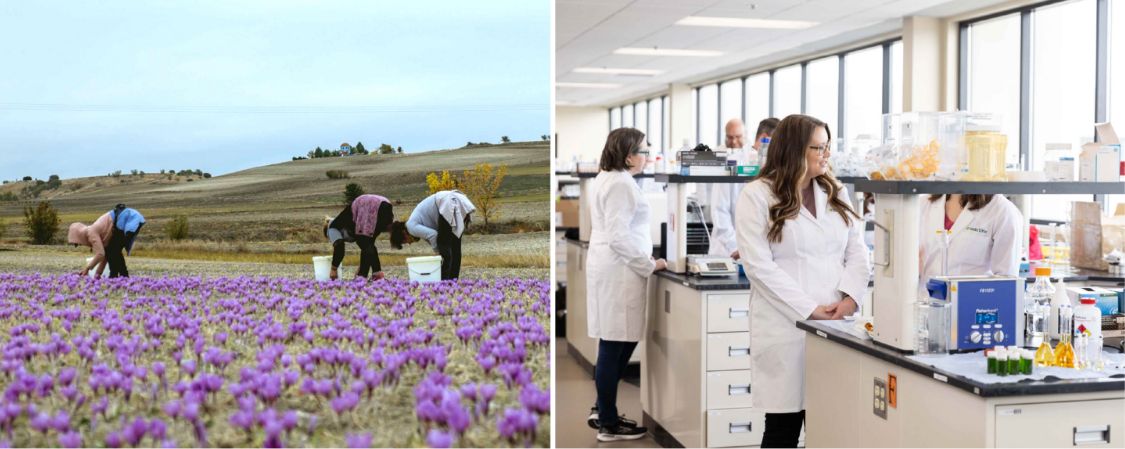 Amway employees in lavender fields and in the lab