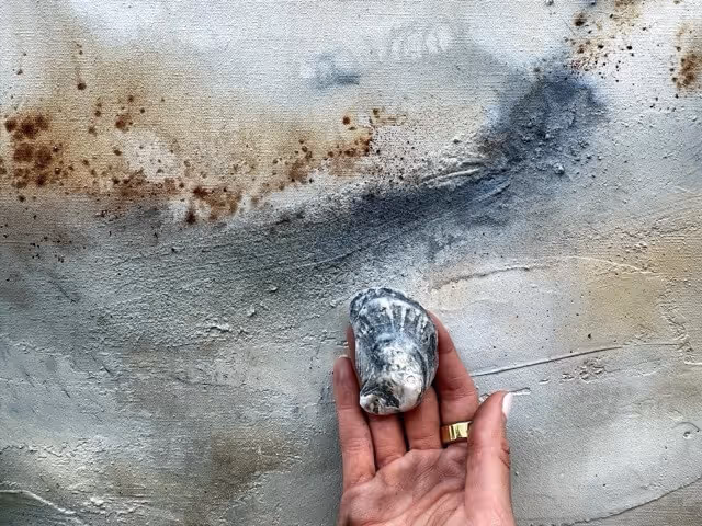 Hand holding a small, gray oyster shell against a textured concrete wall with brown and gray stains.
