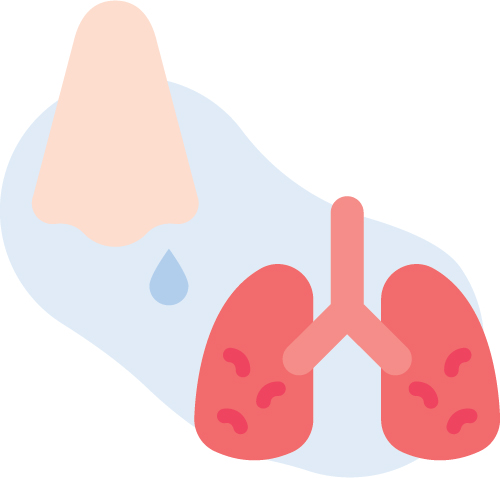 Nose or Lungs