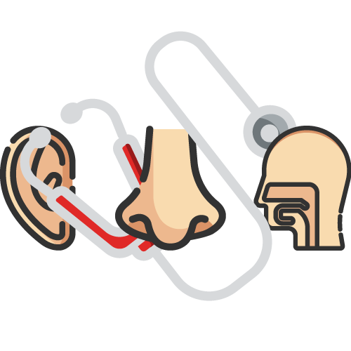 Ear, Nose, Throat (ENT) with Stethoscope Icon