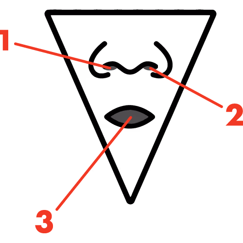 The Breathing Triangle Labeled