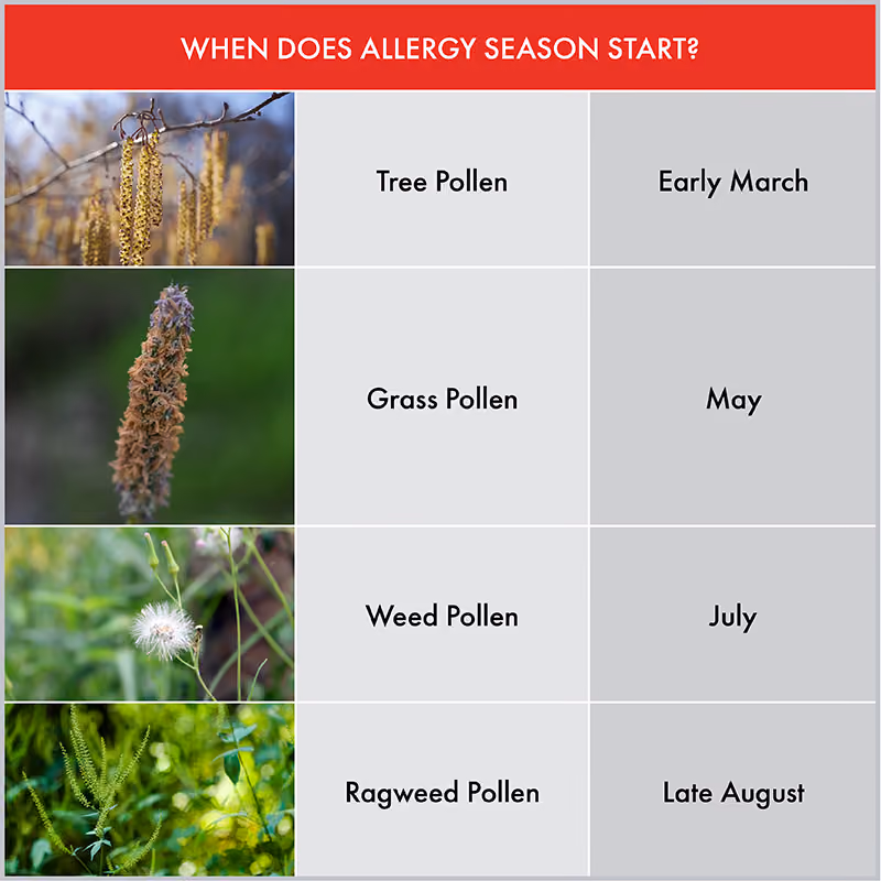Summer Pollen Chart