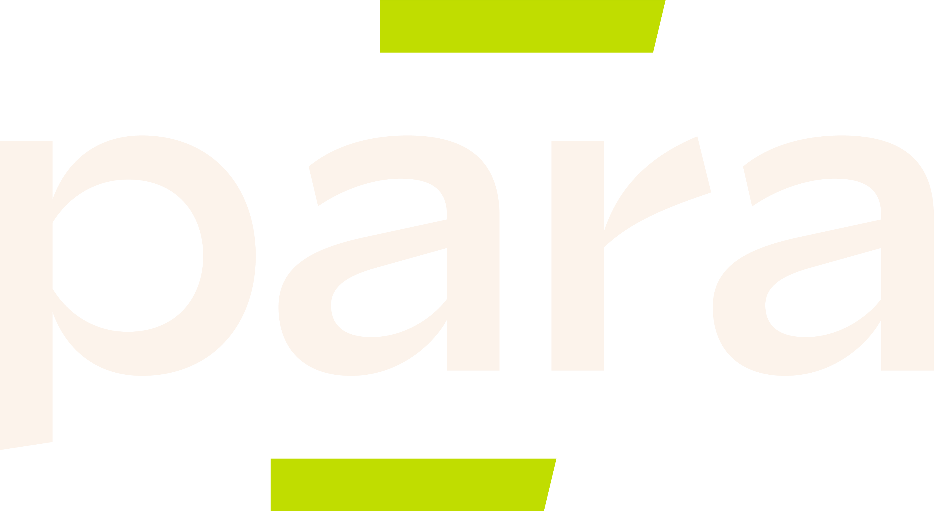 Para Partners
