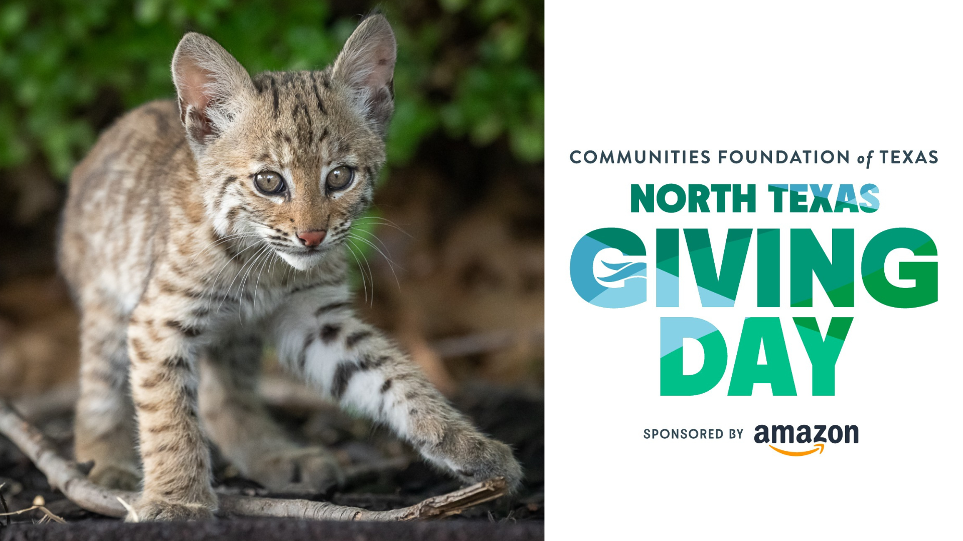 What Is North Texas Giving Day? 