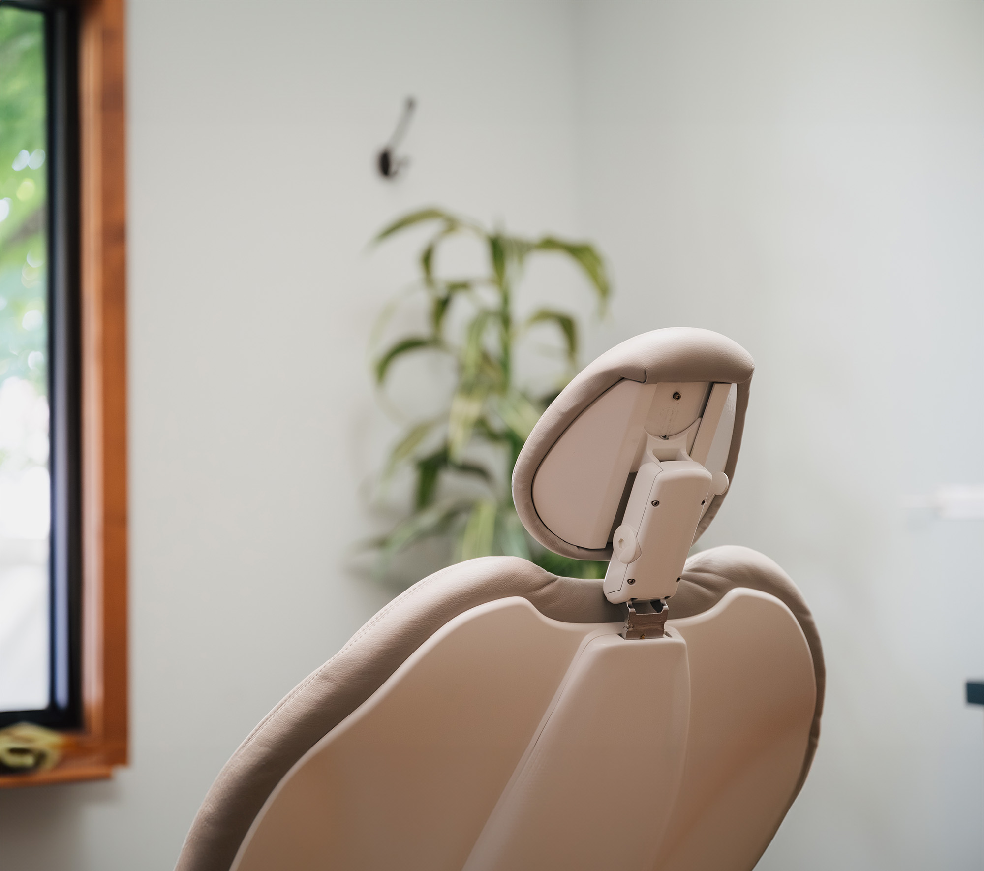 Close-up of a beige dental chair backrest with a blurred indoor plant and window in the background.