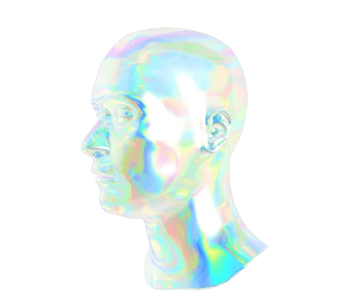 A holographic head