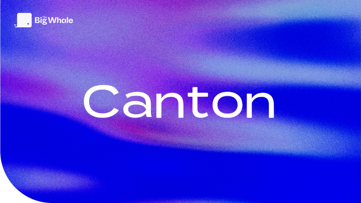 TBW - Canton Network (CC): analysis of blockchain designed for institutions