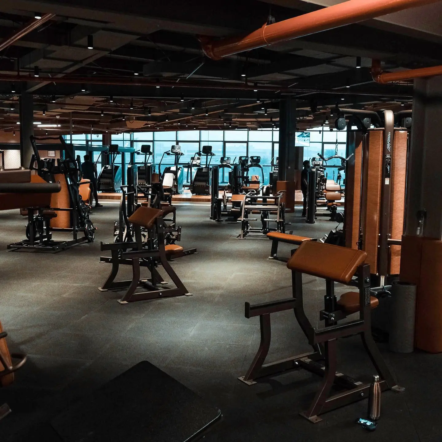 Seven Wellness Club Fitness Area with Gym Equipment