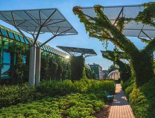 Rooftop garden