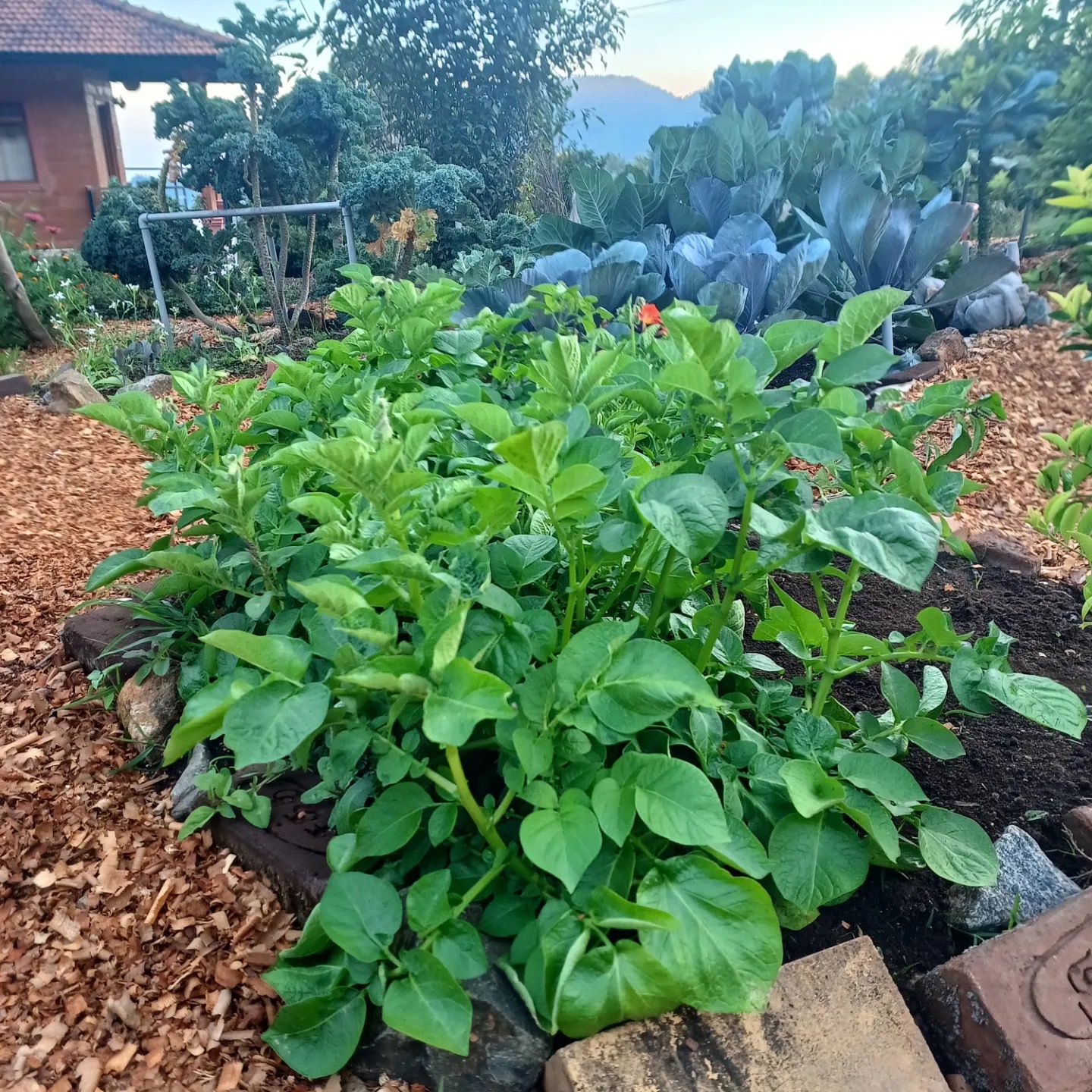 __wf_reserved_inherit