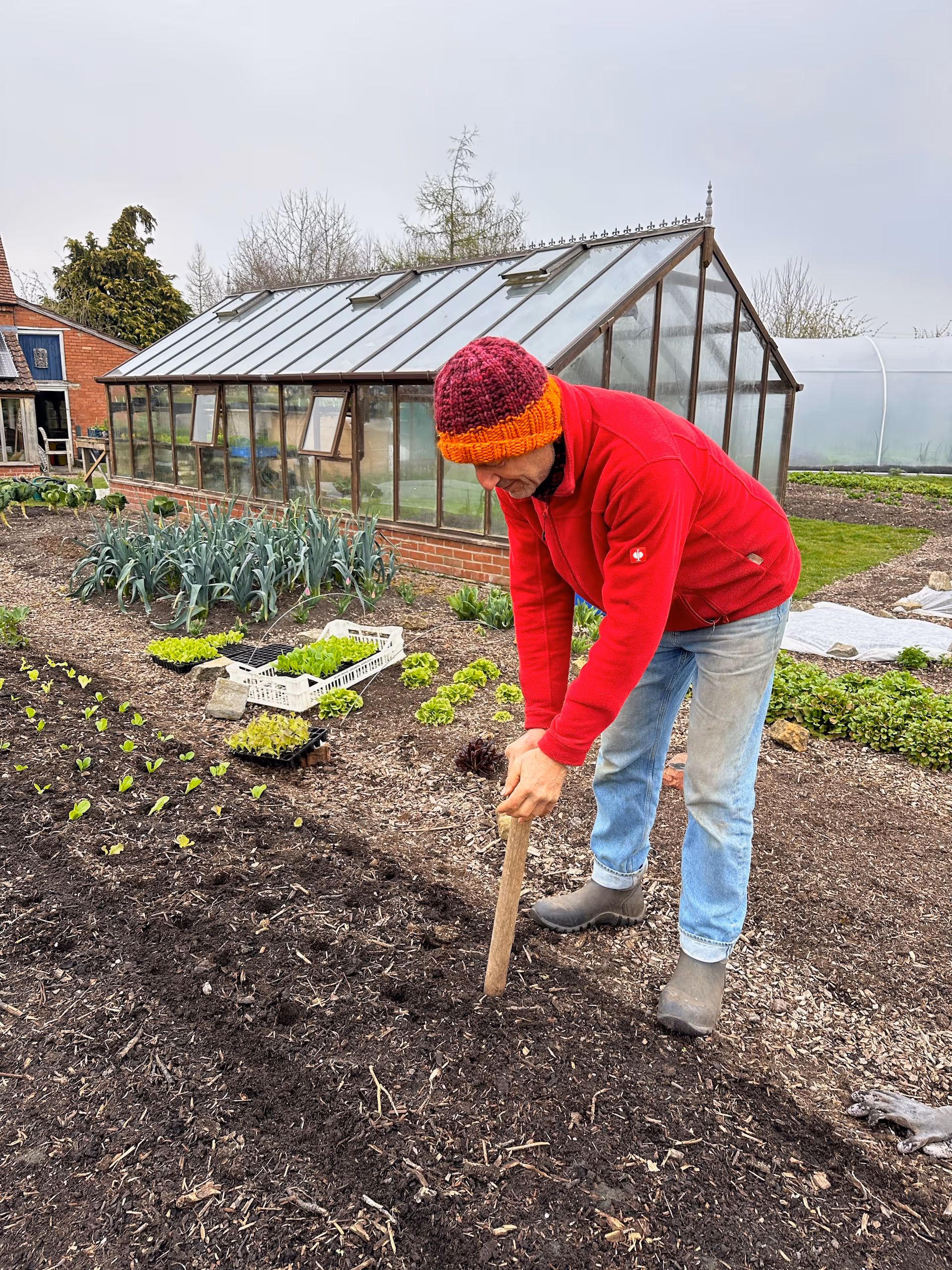 Thousands of seedlings here go in hand-dibbed holes, soft no dig surface