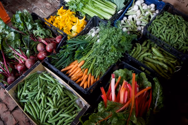 Autumn vegetables from Charles Dowding's no dig garden