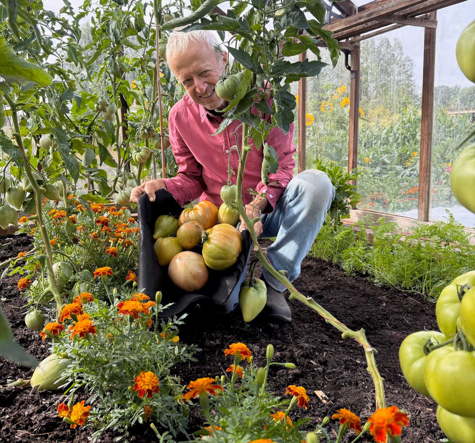 Autumn vegetables from Charles Dowding's no dig garden