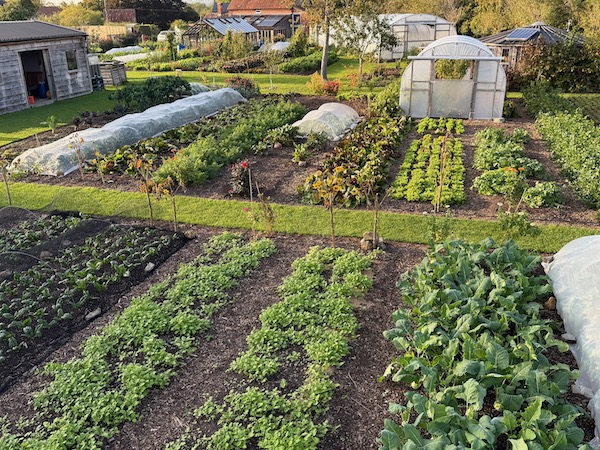 Autumn vegetables from Charles Dowding's no dig garden