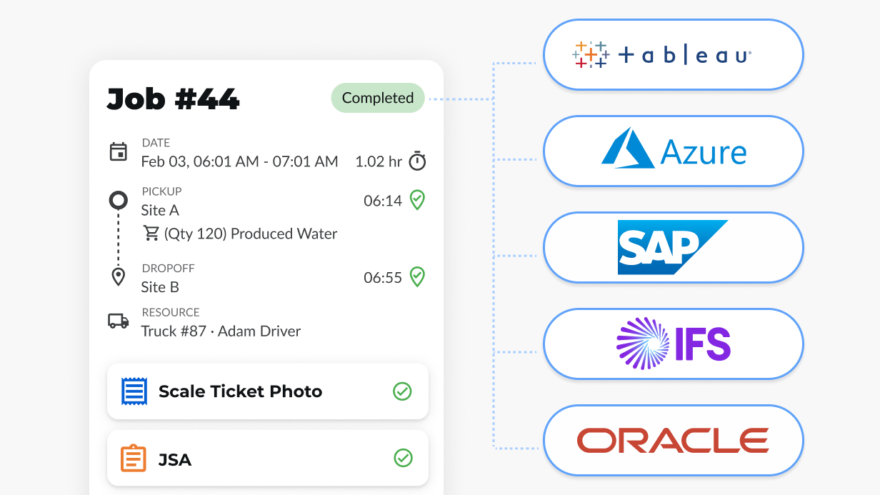 Image showing an IronSight job being able to integrate with multiple systems