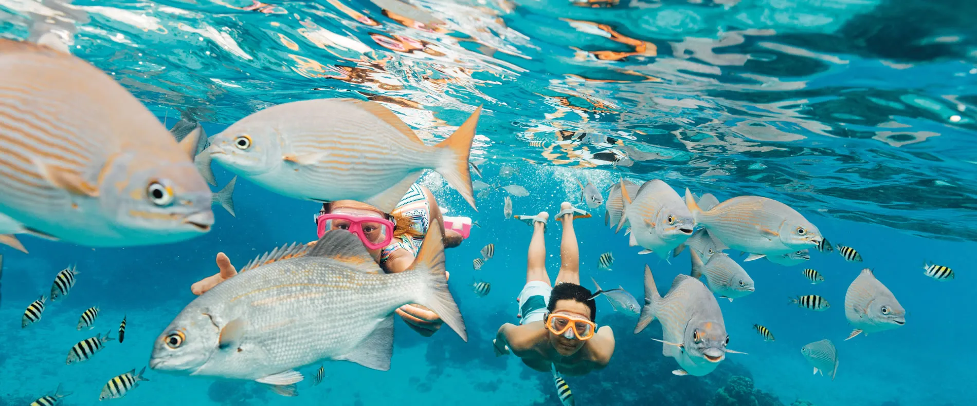 Royal Caribbean cruise snorkeling