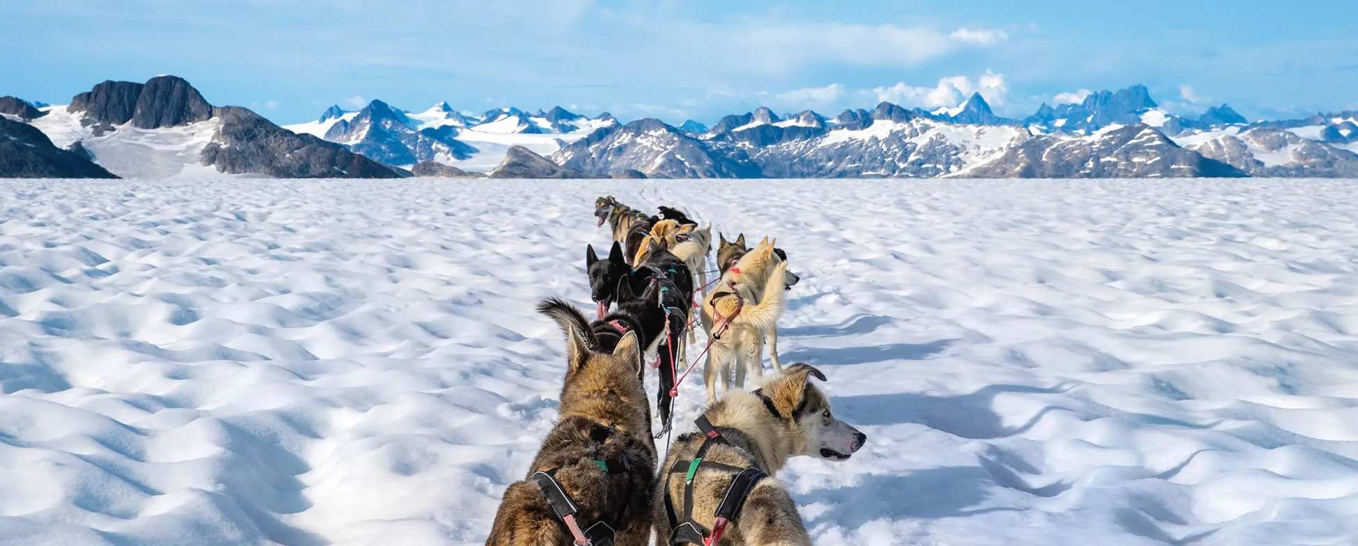 Dogsled team traversing snowy glacier with rugged mountain range backdrop
