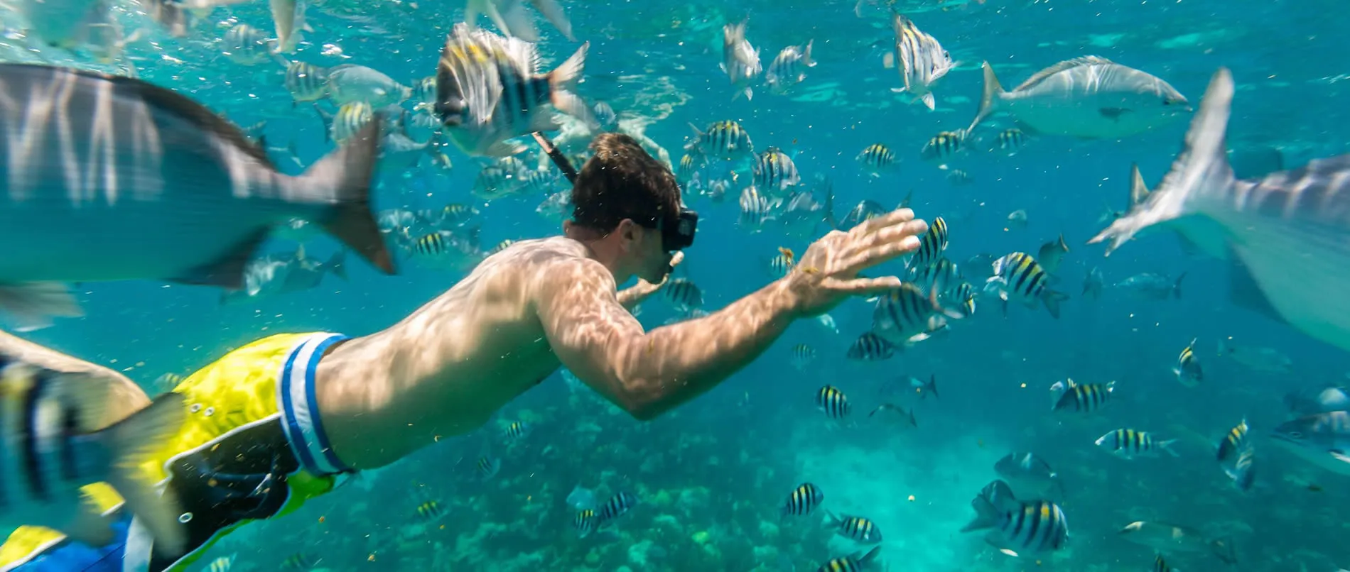 Snorkeler swimming among tropical fish in crystal clear turquoise water