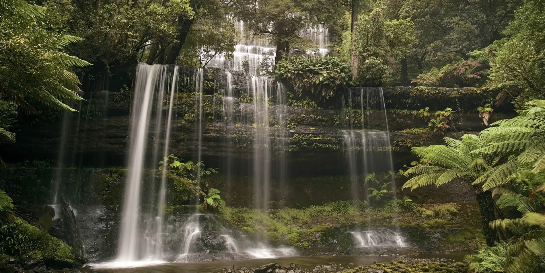 Lush forest waterfall cascading over moss-covered rocks surrounded by ferns