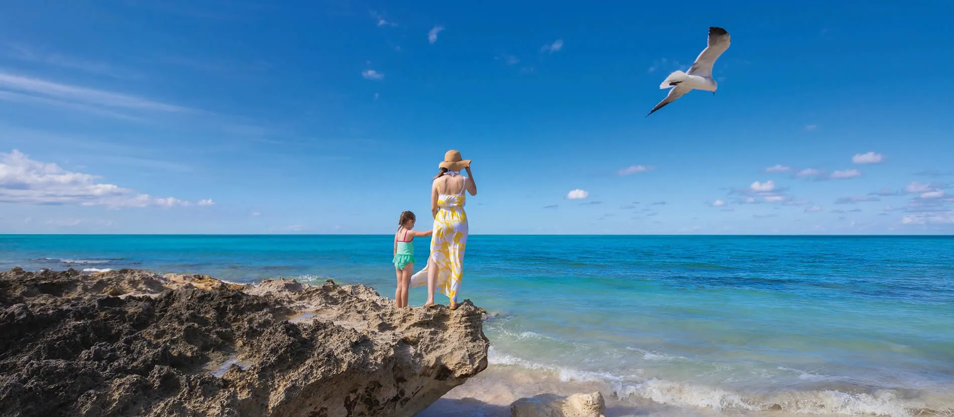 Adult and child standing on rocky shore, seabird flying over blue ocean