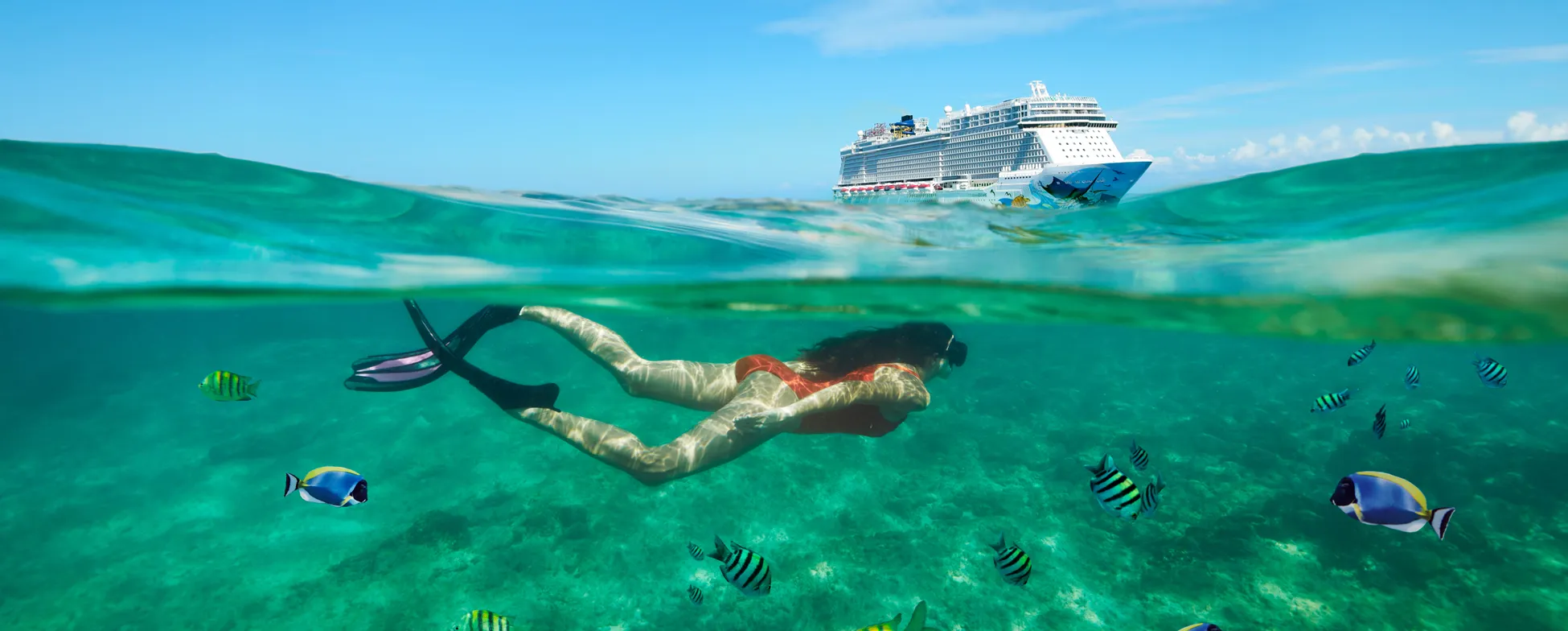 Snorkeler explores crystal-clear waters with cruise ship and tropical fish