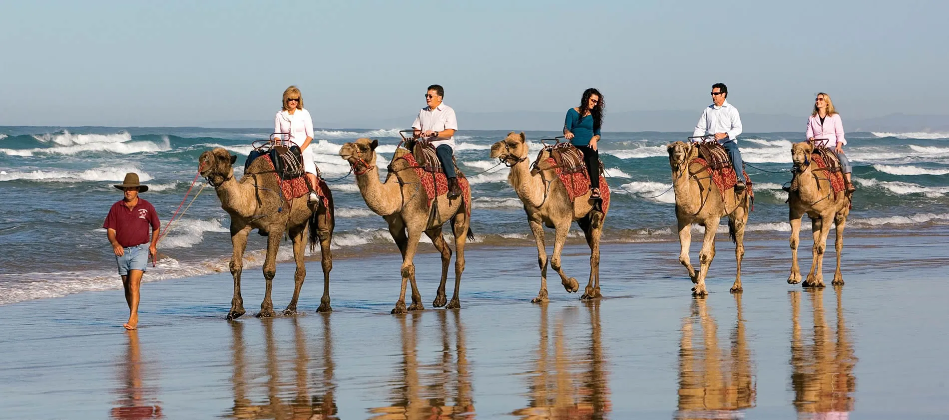 Tourists riding camels along a sandy beach with ocean waves