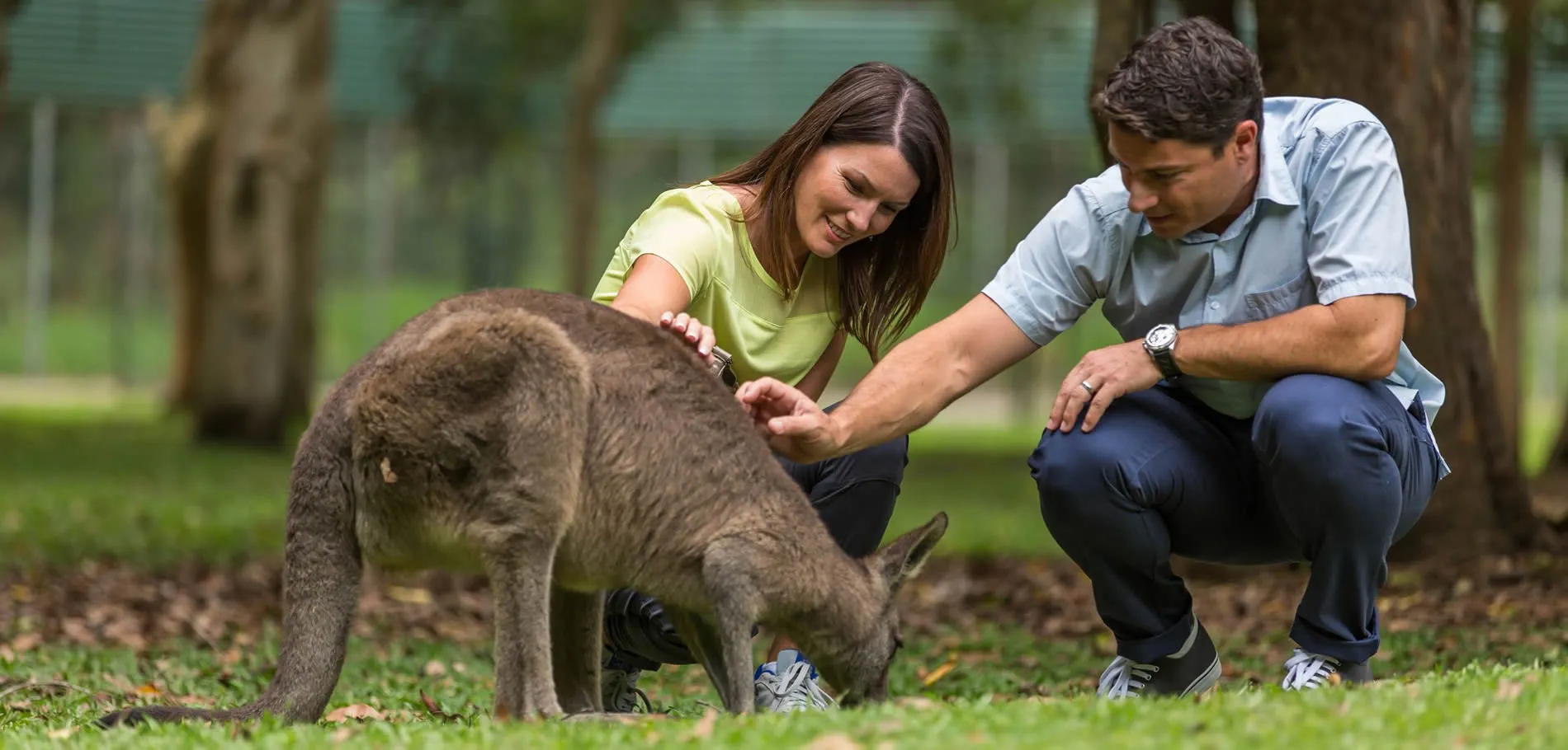 Two people gently petting and interacting with a kangaroo in a park