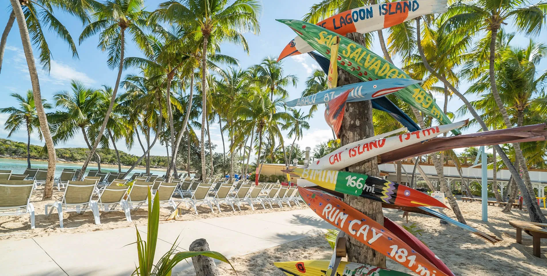 Colorful directional signs on palm tree with tropical beach and lounge chairs