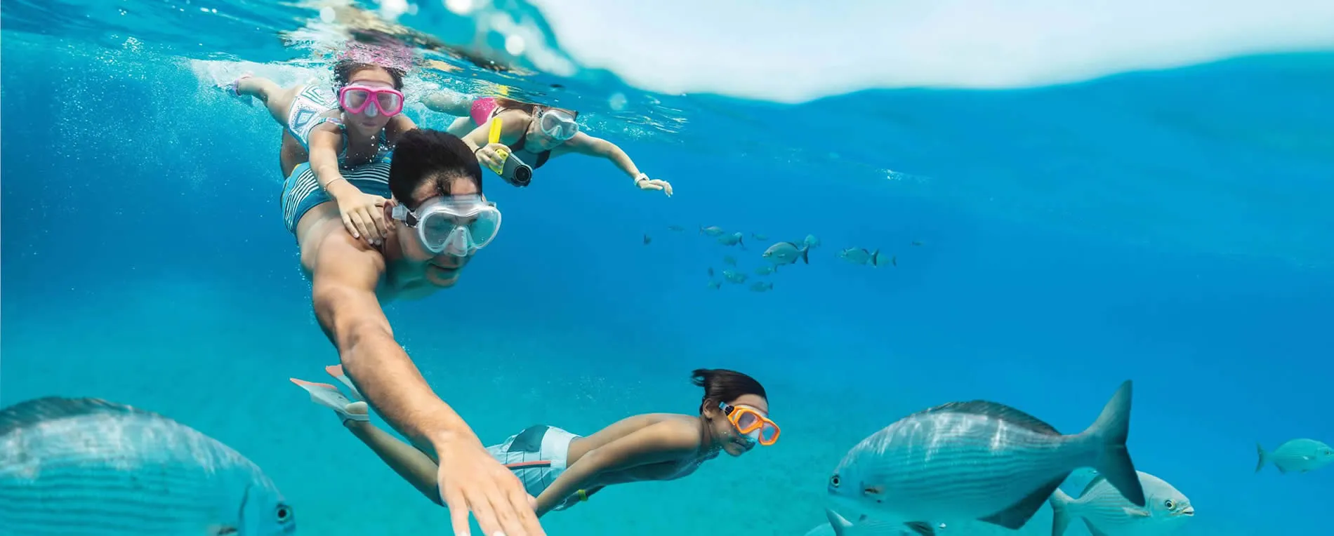 Snorkelers swimming underwater with colorful masks among tropical fish