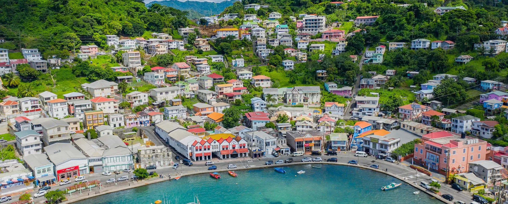 Colorful coastal town with houses nestled on green hillside overlooking blue harbor