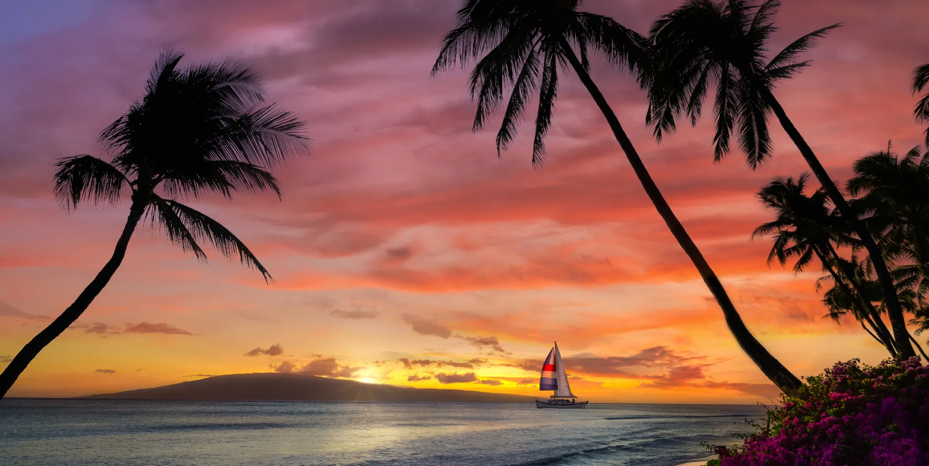 Colorful sunset with palm trees and sailboat on tropical ocean