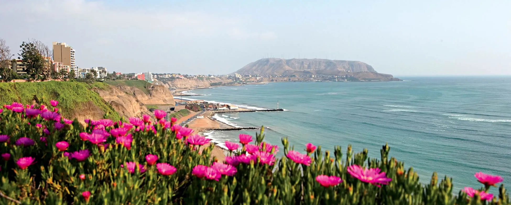 Pink flowers overlooking coastal city with cliffs and turquoise ocean