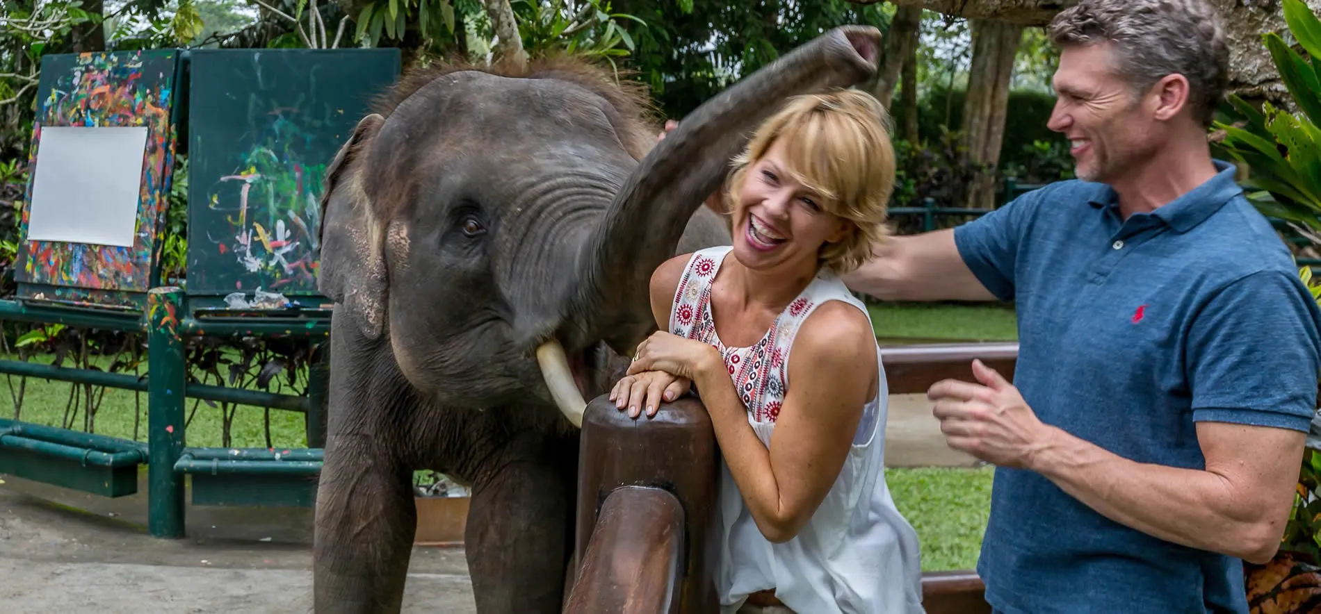 Joyful elephant interacting with visitors near colorful painting canvas