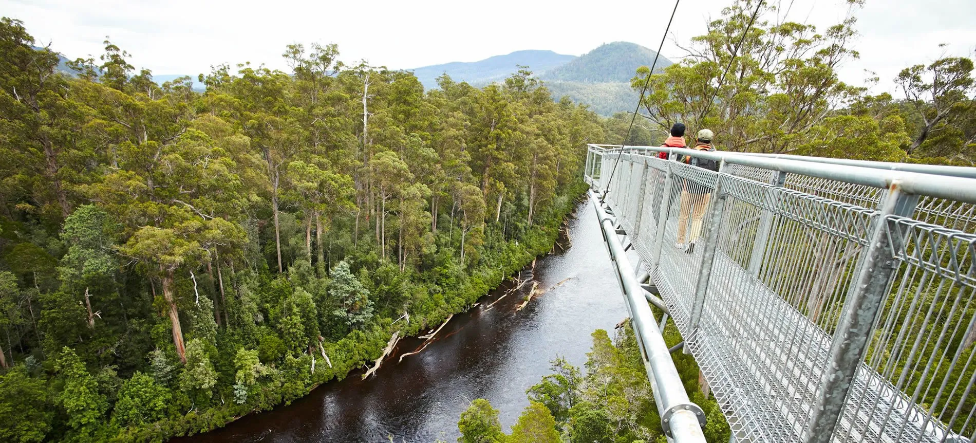 Elevated walkway over lush forest river with distant mountain view