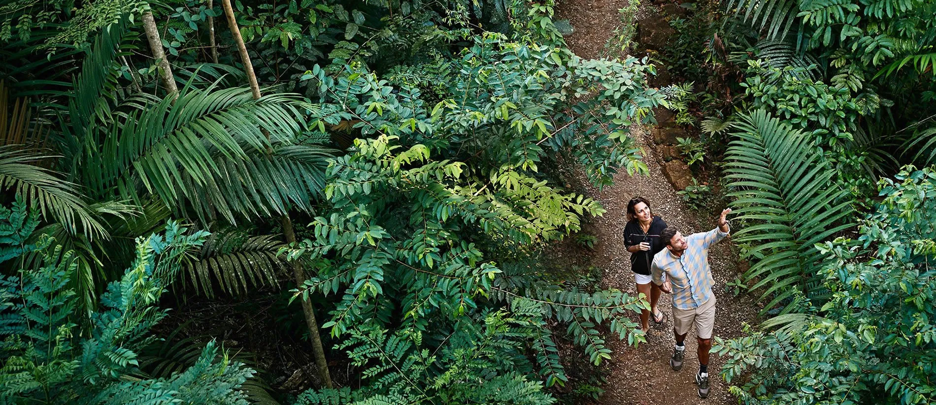 Two hikers walking on a narrow trail through lush tropical rainforest