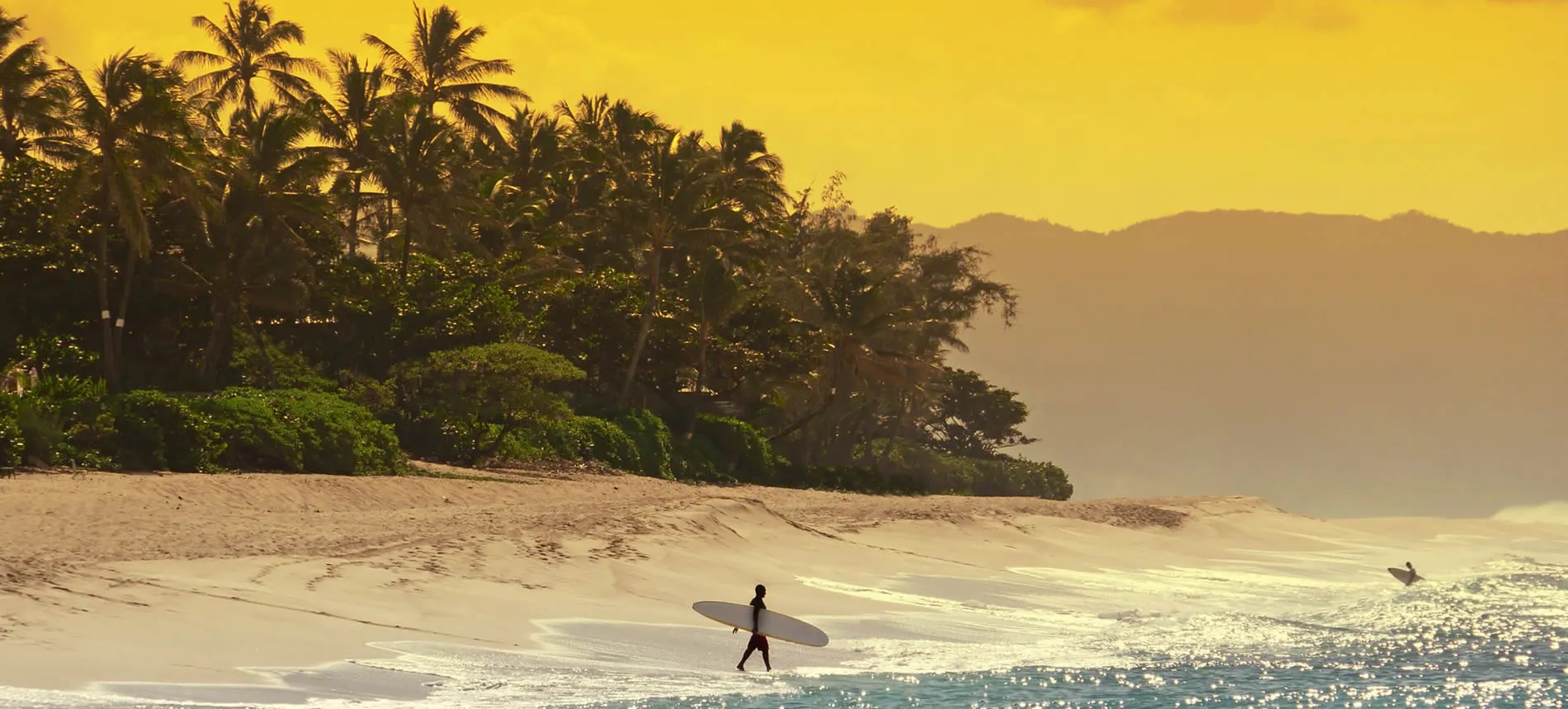 Surfer walking on sandy beach with palm trees and mountains at sunset