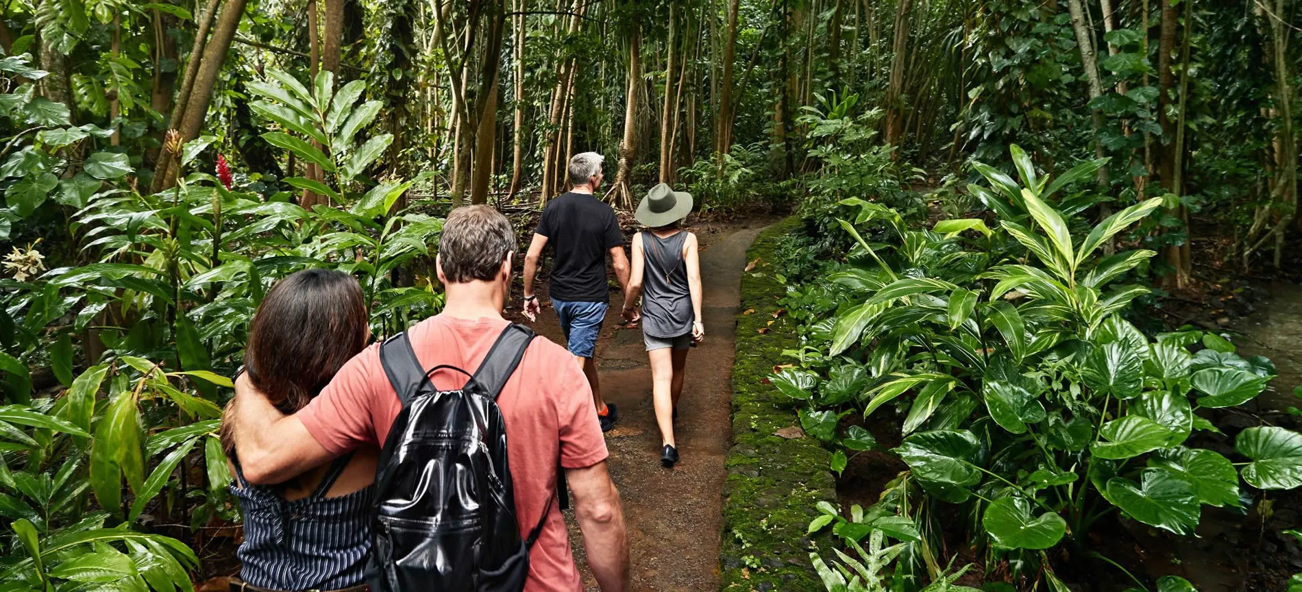 Hikers walking on a lush green forest trail surrounded by tropical vegetation