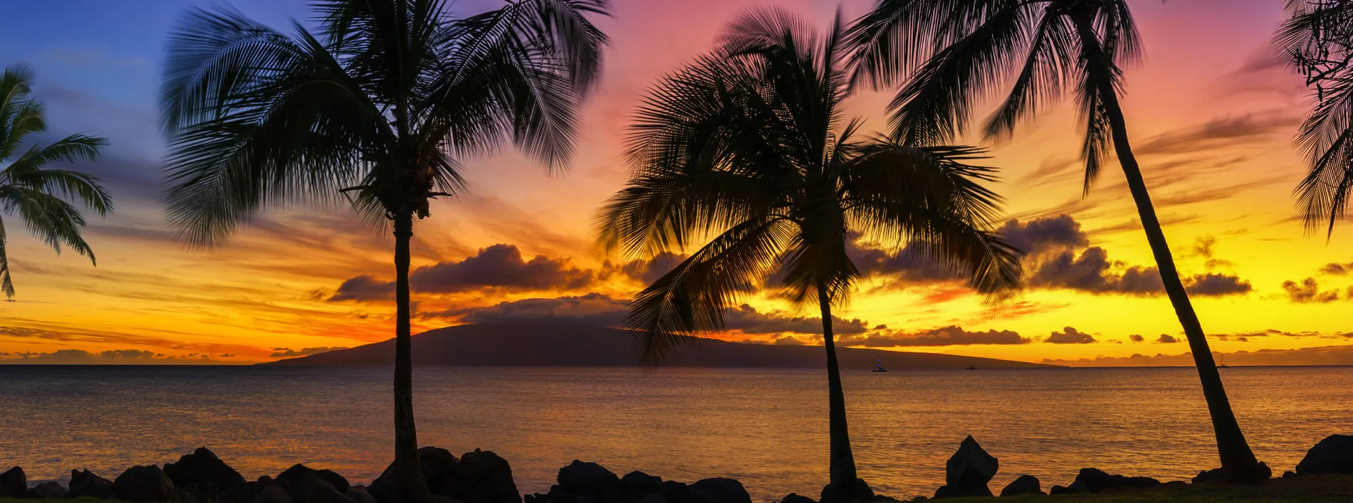 Sunset over ocean with silhouetted palm trees and rocky shoreline