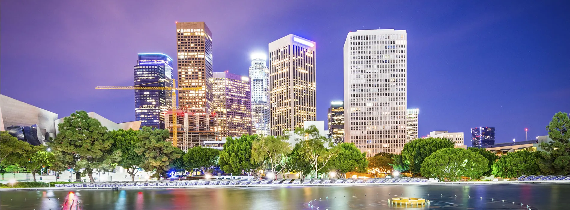 Downtown Los Angeles skyline at night with trees and reflective lake