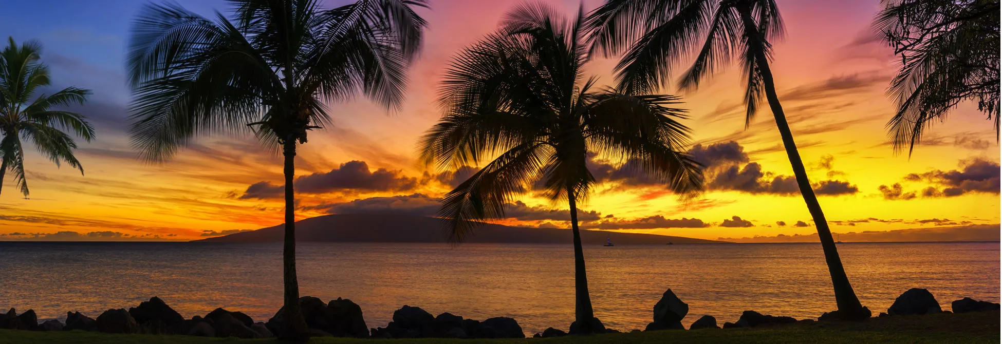 Tropical sunset with palm trees silhouetted against colorful sky and ocean