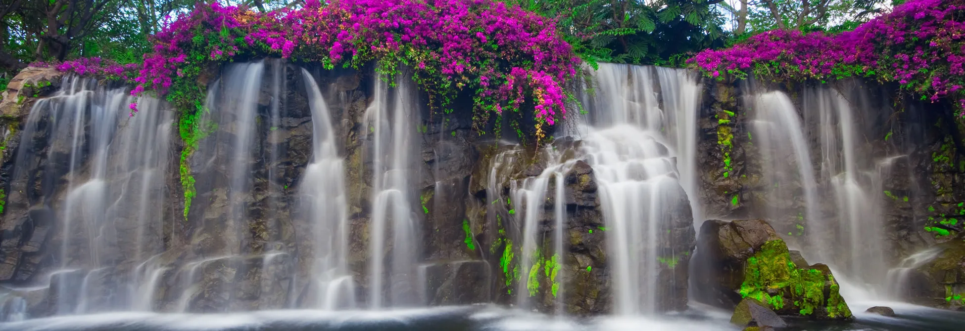 Cascading waterfall with vibrant pink flowers and lush green vegetation
