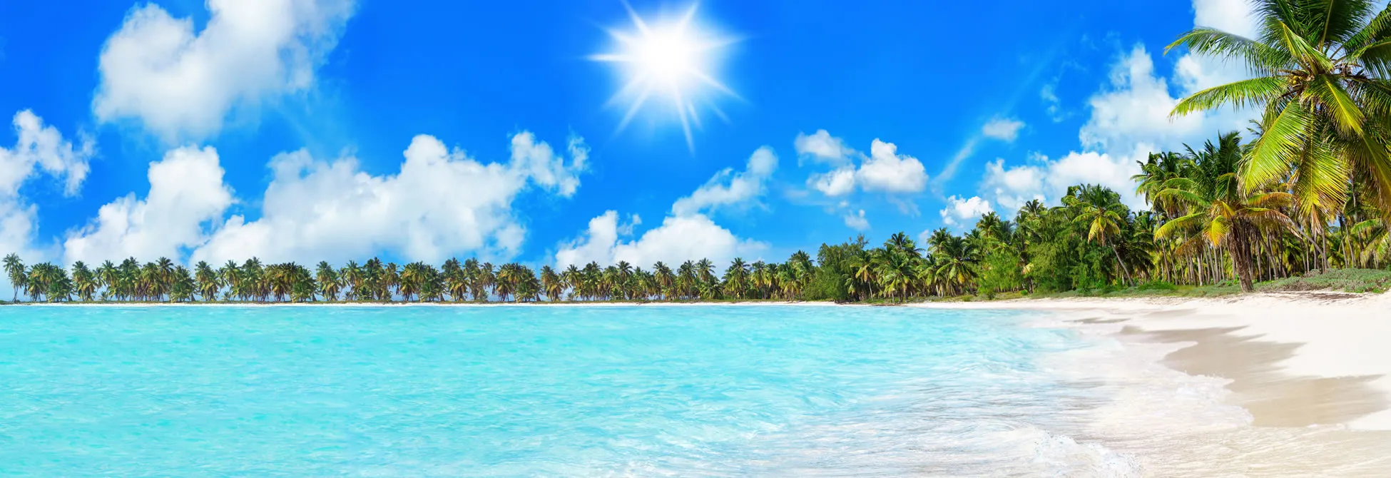 Tropical paradise with turquoise water, white sand, and palm trees under bright sun