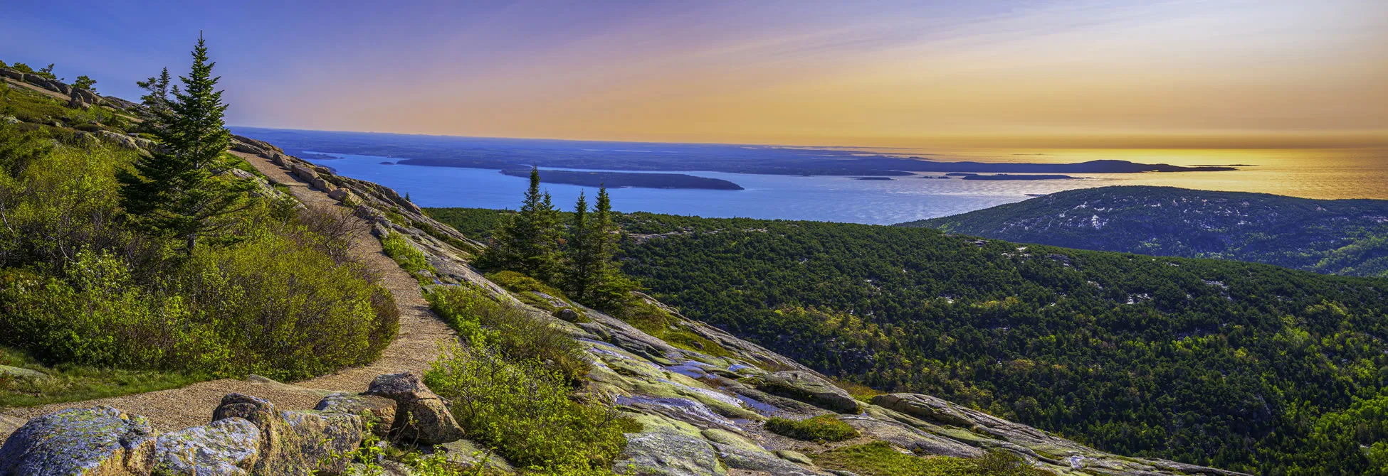 Sunrise over rocky coastal landscape with pine trees and ocean view