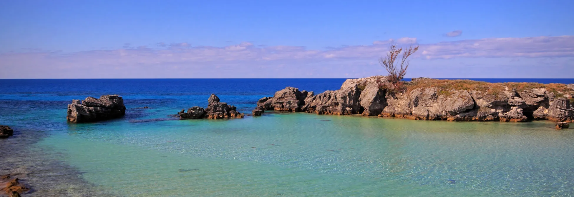 Turquoise waters and rocky coastline with lone tree under blue sky