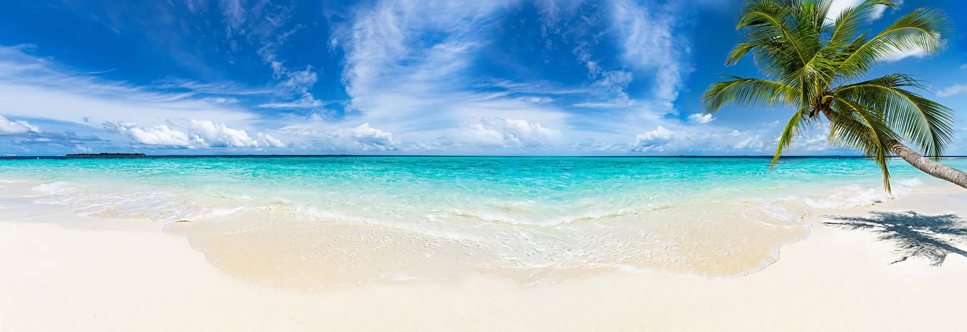 Tropical beach with white sand, turquoise water, and leaning palm tree