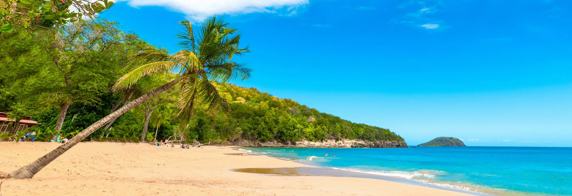 Tropical beach with palm trees, sandy shore, and turquoise ocean waters
